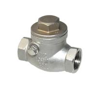 Valvola di ritegno orizzontale unidirezionale oscillante femmina 1PC in acciaio inossidabile 304(1-1/4")