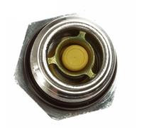 Valvola di ritegno pompa per vuoto originale Ford Focus C-Max 1862312