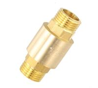 Valvola di ritegno verticale in ottone DN15DN25 con filettatura G, progettata per il controllo del riflusso dell'acqua e prestazioni di lunga durata nei sistemi di tubazioni (1/2-115g)