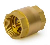 Valvola di ritegno verticale in ottone per sistemi idraulici, filettatura femmina NPT da 4 pollici, valvola a senso singolo DN20, peso 131g per un controllo affidabile del flusso d'acqua (circa 20)