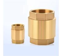 Valvola di ritegno verticale in ottone tipo a sollevamento valvola unidirezionale anti-riflusso valvola di arresto dell’acqua per sistemi idraulici(DN25 1 inch)