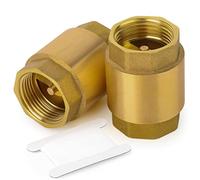 Valvola di ritegno verticale ottone DN20 4 pollici filettatura NPT per sicurezza