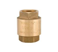 VALVOLA DI RITEGNO YORK 2" DN50 10bar/145psi