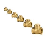 Valvola Di Ritorno DN 15/20/25/32/40/50 Con Flap In Ottone