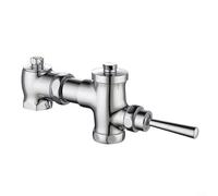 Valvola di scarico a pressione manuale in ottone per una facile installazione Sistema di lavaggio WC manuale Silver Squat WC regolabile distanza centrale 105115 mm