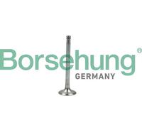 Valvola di scarico B19005 Borsehung per VW SKODA SEAT AUDI