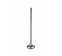 Valvola di scarico Bimetallo/-ico 03 0520 TD73E1 OE Germany per OPEL LANCIA