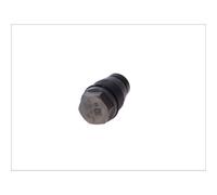 Bosch Valvola limitatrice di pressione 1 110 010 017 – valvola di scarico carburante