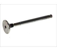 Valvola di scarico FRECCIA R4169/RCR per LANCIA Y10 (156_) 1 1985-1989