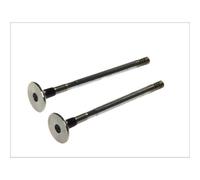 Valvola di scarico FRECCIA R6196/RCR