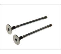 Valvola di scarico FRECCIA R6196/RCR per MAZDA 2 (DY) 1.4 2003-2007