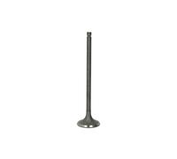 FRECCIA R6541/RNT Valvola di scarico