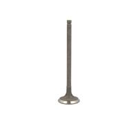 FRECCIA R6569/RNT Valvola di scarico