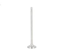 Valvola di scarico FRECCIA R6725/R per MINI MINI (R56) 1.4 2006-201