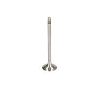 FRECCIA Valvola di scarico R6949/BM per Opel Zafira Tourer C, BMW F20, MINI F56