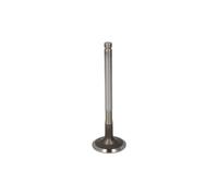 Valvola di scarico TRW 105-35625