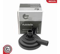 ESEN SKV 31SKV416 Valvola, Ventilazione carter