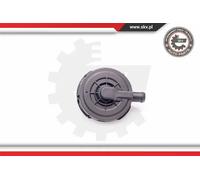 Valvola di sfiato, ricircolo motore Testa a cilindro Valvola di sfiato 31SKV023