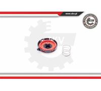 Valvola Regolazione Pressione di Sfiato Skv per BMW 5 6 7 X5; 11127547058