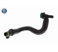 Valvola di sfiato, ricircolo motore V10-8677 VAICO