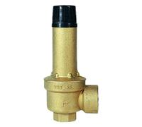 Valvola di sicurezza a membrana Watts VST F/F 1 pollice x 1 1/4 5,4 bar 0214154