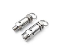 Valvola di sicurezza a molla maschio BSPT NPT da 1/4"1/2" 0,05-1 MPa Scarico Acciaio inossidabile 304 Sanitario Adatto for compressori d'aria(DN32,0.25INCH_BSPT)