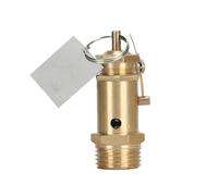 Valvola di sicurezza del compressore A21W-16T Valvola di sicurezza della pressione Valvola di sicurezza for caldaia elettrica Generatore di vapore 1/2(0.4mpa (4 kg))