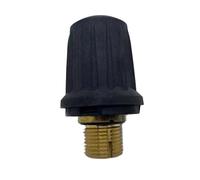 Valvola di sicurezza in ottone di ricambio, compatibile con KARCHER SC1/SC2/CTK10/SC4/SC5/SG4-4, accessori for la riduzione della pressione del pulitore a vapore(FOR SG4-4)
