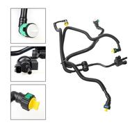 Valvola di spurgo del contenitore del vapore F2gz9D289A Raccordi Automotive