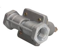 Valvola di troppo pieno PNEUMATICS 434 100 244 0