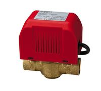 VALVOLA DI ZONA 3/4" FF MOTORIZZATA 2 VIE CON SERVOCOMANDO e MICRO PINTOSSI 702