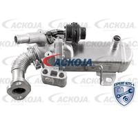 Valvola EGR ACKOJA A38-63-0004 per NISSAN NAVARA 2.5 dCi 4WD 4x4