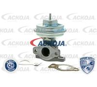 ACKOJA A52-63-0001 Valvola EGR