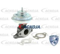ACKOJA A52-63-0002 Valvola EGR