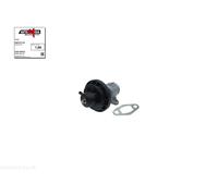 Valvola EGR AUTOMEGA 250721710 per SEAT IBIZA 1.9 SDI
