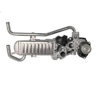 Valvola EGR BORG WARNER 710863D/1 per SKODA ROOMSTER (5J7) 1.2 2010-2015