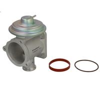 Valvola EGR BORG WARNER 710924D per BMW 1 (E87) 2 2004-2011