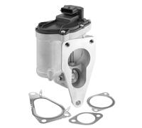 Valvola EGR BORG WARNER 712018D per RENAULT SCENIC II (JM0/1_) 1.9 2003-2008