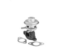 Valvola EGR BORG WARNER 712069D per IVECO DAILY IV Autobus 2.3 2006-2011
