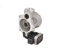 Valvola EGR BORG WARNER 7256D per SPRINTER 3-t Autobus (B903) 2.7 2000-2006