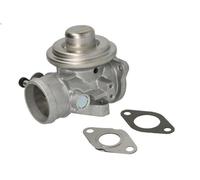 Valvola EGR BORG WARNER 7293D per AUDI A2 (8Z0) 1.2 2001-2005