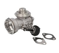 Valvola EGR BORG WARNER 7372D