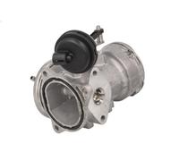 Valvola EGR BORG WARNER 7451D per SEAT ALTEA (5P1) 1.9 2004-201