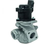 Valvola EGR C2 C3 C4 C5 FOCUS II 9685640480/5S6Q9D475A