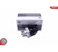 Valvola aria secondaria 14SKV217 ESEN SKV per OPEL SAAB CHEVROLET