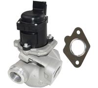 Valvola EGR compatibile con Peugeot Citroën, Ford 1.6 HDI, guarnizione