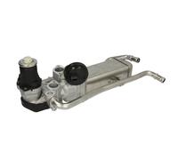 Valvola EGR DELPHI EG10589-12B1