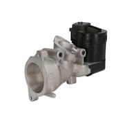 Valvola EGR DELPHI EG10591