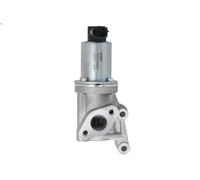 Valvola EGR DELPHI EG10609-12B1 KIA VENGA (YN) 1.4 2010-2019