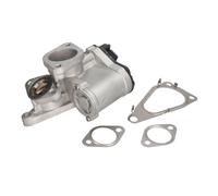 Valvola EGR DELPHI EG10631-12B1